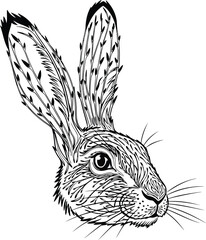 Intricate black and white illustration of a hare's head with floral and vine-like patterns forming its features and long ears