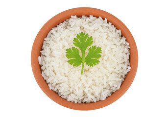 Isolated terracotta bowl of cooked rice with a single sprig of coriander, top view, studio shot