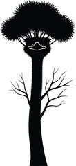 Silhouette of a tall, spiky tree with a distinctive face-like shape in the trunk black and white
