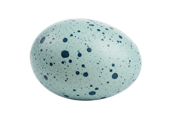 Isolated speckled egg of Eurasian Magpie, bright blue shell with dark spots, Easter object