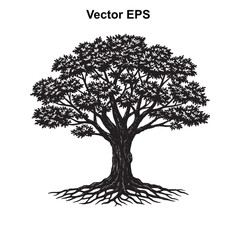 Fototapeta premium Vector art of detailed silhouette of a large tree with extensive roots