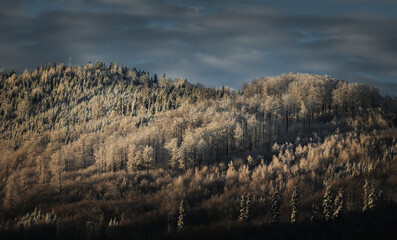 Late autumn and the beginning of winter in the mountain landscape, the first snow