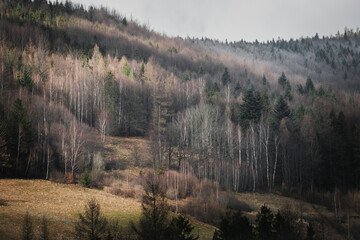Late autumn and the beginning of winter in the mountain landscape, the first snow