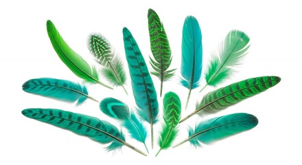 A visually captivating arrangement of various natural feathers, showcasing a beautiful spectrum of greens, teals, and turquoises. Each delicate plume features unique details, including subtle stripes,
