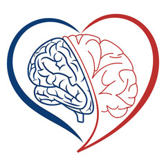 Symbolic representation of the connection between the human brain and heart symbolizing emotional intelligence and mental well being