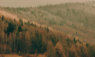 Late autumn and the beginning of winter in the mountain landscape, the first snow