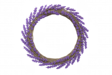 Lavender flower wreath creating a natural circular frame, rustic floral decoration, transparent background
