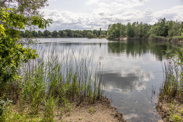 Calm lake surrounded by lush green trees under a cloudy sky, reflecting peaceful summer scenery in nature