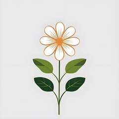 jasmine flower isolated on white background