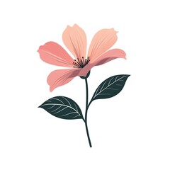 gradient color flower with beautiful petals