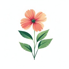 cherish pink flower with green leaves