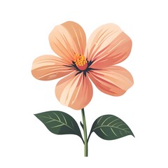 light orange color flower isolated on white background