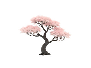 Japanese tree 3D transparent background