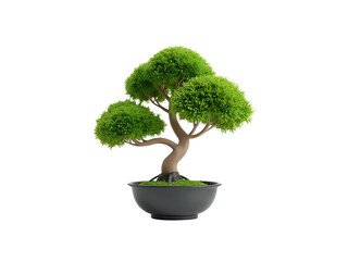 Japanese tree 3D transparent background
