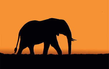 Fototapeta premium Elephant Silhouette at Sunset, Wildlife Scene with Vibrant Sky and Serene, elephant silhouette, sunset landscape, African wildlife,