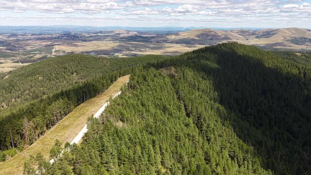 Drone Shot of Road and Pine Forest on Hills and Horizon of Zlatibor Mountain, Serbia