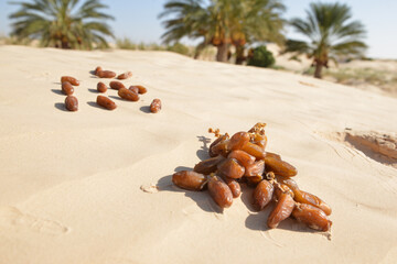 Tunisian dates scattered on golden desert sand with palm trees in the background, illustrating...