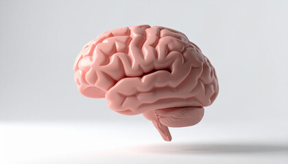 Anatomical model of human brain, floating over white backdrop, medical accuracy.