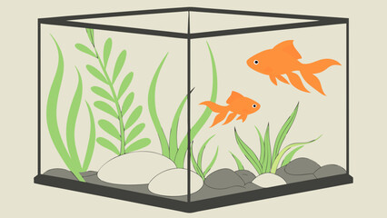 Two Orange Goldfish in a Modern Aquarium with Green Plants and Stones.