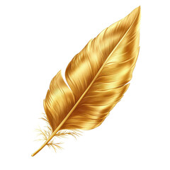 A single golden feather on transparent background