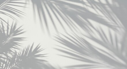 Obraz premium Subtle Shadows of Palm Fronds Dancing on a Textured White Wall