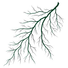 Bare tree branch, nature inspired illustration