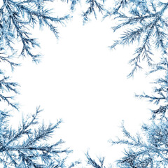 Frosted branches frame on transparent background