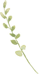 Leaf Branch Watercolor illustration for card website, application, printing, document, poster design, etc.