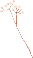 Gypsophila Flower Watercolor illustration for card website, application, printing, document, poster design, etc.