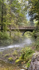 Fototapeta premium Scenic view of misty summer landscape with beautiful old bridge over a small mountain creek in the forest.
