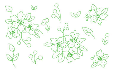 Green floral line art, Botanical doodle design, Simple nature drawing