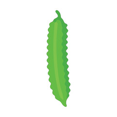 Obraz premium Winged bean vector illustration on a white background