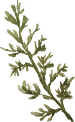 Green Leaf for card website, application, printing, document, poster design, etc.