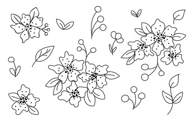 Black white floral doodle, Hand-drawn flower art, Simple botanical sketch