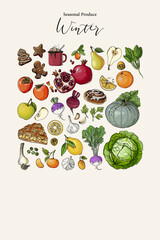 Vector poster with colorful hand drawn illustrations of seasonal winter produce: apple, mandarin, spinach, celery stalks, lemon, pear, white cabbage, pomegranate, garlic, persimmon, gray pumpkin	