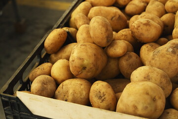 Fresh organic potatoes at a farmers market. Natural light and earthy tones highlight the texture of raw vegetables, symbolizing simplicity, sustainability, and authentic farm-to-table food.