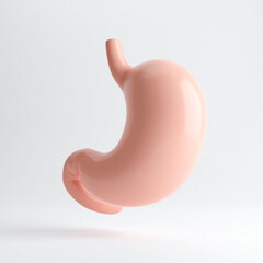 Fototapeta premium Minimalist 3D illustration of human stomach organ, smooth and healthy, medical concept. Close-up.