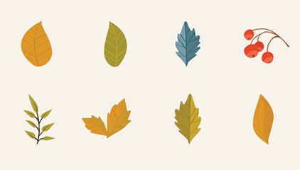 Obraz premium autumn leaves set.eps