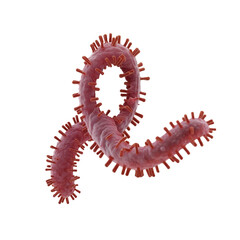 virus, bacteria, microbe close-up on a transparent background