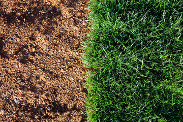 The land is divided in half: half land, half green grass, lawn. The boundary between the green lawn and the land. Border. Abstraction. Landscape design. Lawn planting. Background.