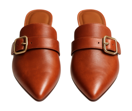 Rust leather mules featuring a buckled strap and pointed toe for a rustic touch.
