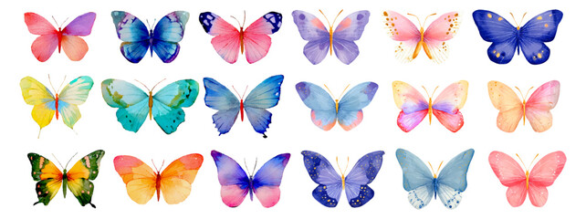 Set of watercolor butterflies. Multicolored colored butterflies. Spring and summer floral insects. Spring, summer decoration. Colorful of various butterfly species collection © Narin