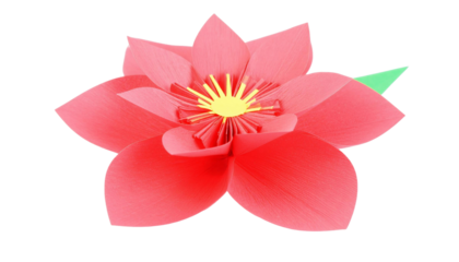 Vibrant pink flower isolated on transparent background blossoming flora illustration