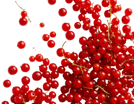 Vibrant red spheres floating against transparent backdrop