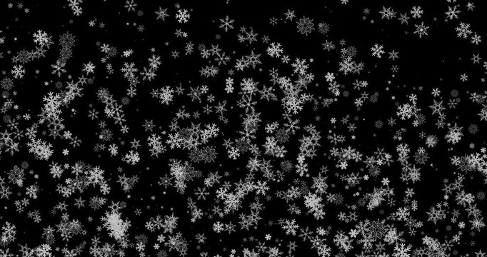 Breathtaking Looping Animation of Delicate Snowflakes Gently Falling Against a Dark Background Creating a Magical Winter Wonderland Atmosphere Filled with Sparkling Elegance.