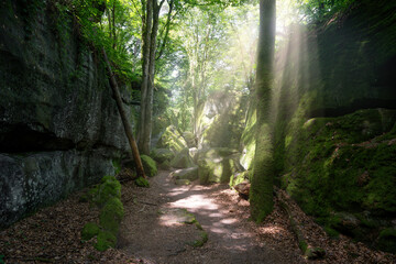 Mullerthal during summer season, Luxembourg