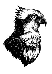 Fototapeta premium Osprey - Black and White Isolated Icon - Vector illustration