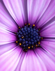 Macro shot of a vibrant purple and blue flower with details