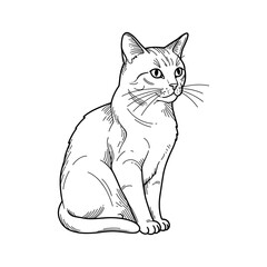 Sitting cat illustration in black line art, elegant domestic animal with attentive expression and detailed minimal contour