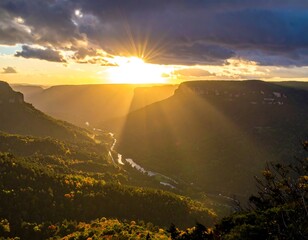 Majestic golden sunset over a deep canyon with trees